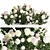 White Hydrangea Trio Collection 3D model small image 1