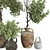 Modern Plant Collection Set 60 3D model small image 4