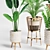 Lush Indoor Plants Set 07 3D model small image 2