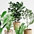 Lush Indoor Plants Set 07 3D model small image 5