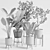 Lush Indoor Plants Set 07 3D model small image 6