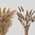 Pampas Grass Book Set 3D model small image 2