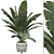 Beautifully Detailed Banana Plant Set 3D model small image 1