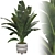 Beautifully Detailed Banana Plant Set 3D model small image 2