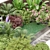 Modern Natural Plant Backyard Collection 3D model small image 2