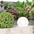 Modern Natural Plant Backyard Collection 3D model small image 3