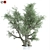 Premium Olive Tree Model 2016 3D model small image 5