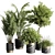 Modern Indoor Plant Set 57 3D model small image 1