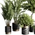 Modern Indoor Plant Set 57 3D model small image 2