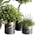 Modern Indoor Plant Set 57 3D model small image 4