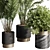 Modern Indoor Plant Set 57 3D model small image 6