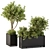 Outdoor Plants Collection Box 3D model small image 1