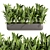 Low-Volume Indoor Plant Collection 3D model small image 3