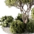 Outdoor Garden Plants Collection 3D model small image 3