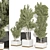 Resizable Indoor/Outdoor Plants, Anywhere 3D model small image 1