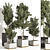 Resizable Indoor/Outdoor Plants, Anywhere 3D model small image 2