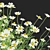 Chamomile Flower Set | 3D Models 3D model small image 4