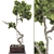 Bonsai Tree 63 3D Model 3D model small image 3