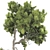 Bonsai Tree 63 3D Model 3D model small image 4