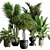 Botanical Bliss Indoor Plant Set 3D model small image 1