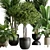 Botanical Bliss Indoor Plant Set 3D model small image 2