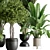 Botanical Bliss Indoor Plant Set 3D model small image 3