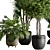 Botanical Bliss Indoor Plant Set 3D model small image 4