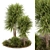 Lush Outdoor Garden Plants 3D model small image 1