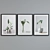 Modern Plant Still Life Frames Set 3D model small image 2