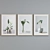 Modern Plant Still Life Frames Set 3D model small image 3