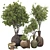  3D Plant Collection Set 3D model small image 1