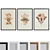 Modern Insect & Plant Picture Frame Set 3D model small image 1