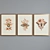 Modern Insect & Plant Picture Frame Set 3D model small image 2