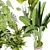 Premium Indoor Plant Collection Vol.452 3D model small image 3