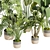 Premium Indoor Plant Collection Vol.452 3D model small image 4