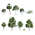 Urban Park Trees Collection 3D model small image 2