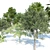 Urban Park Trees Collection 3D model small image 4