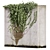 Premium Ivy Outdoor Plant Model 3D model small image 3