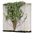 Premium Ivy Outdoor Plant Model 3D model small image 4