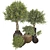 65 Blooming Tree Plant Collection 3D model small image 7