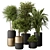 Lush Indoor Foliage Combo 3D model small image 1