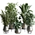 Multifarious Indoor Plant Set 3D model small image 1