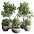 Concrete Vase Indoor Plant Set 3D model small image 1