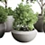 Concrete Vase Indoor Plant Set 3D model small image 2