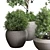 Concrete Vase Indoor Plant Set 3D model small image 4