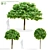 Catalpa Nana Tree Collection 3D model small image 1