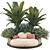 Plant Collection Decor Set 3D model small image 1