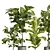 Ficus Lyrata Set in Concrete 3D model small image 2