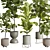 Ficus Lyrata Set in Concrete 3D model small image 6