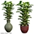 Greenery Harmony Indoor Set 3D model small image 1